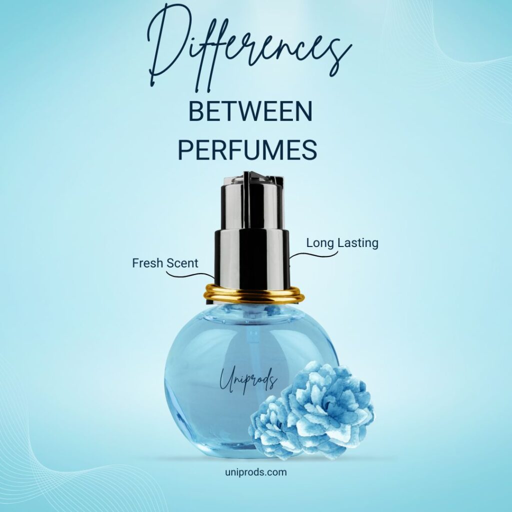 Differences Between Perfumes in Detail